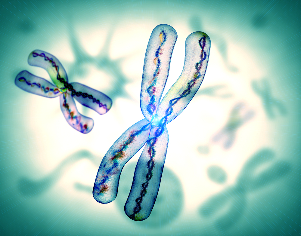13 datos sobre el Síndrome del Cromosoma Frágil.