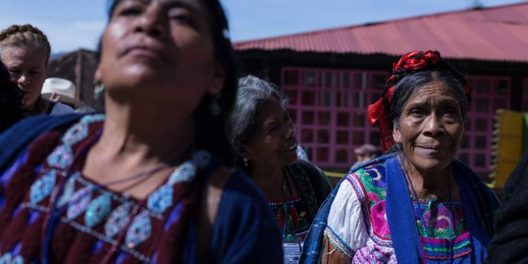 Mujeres indígenas y la discapacidad en México.