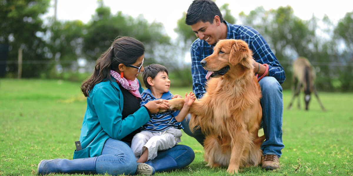 Terapias asistidas con perros
