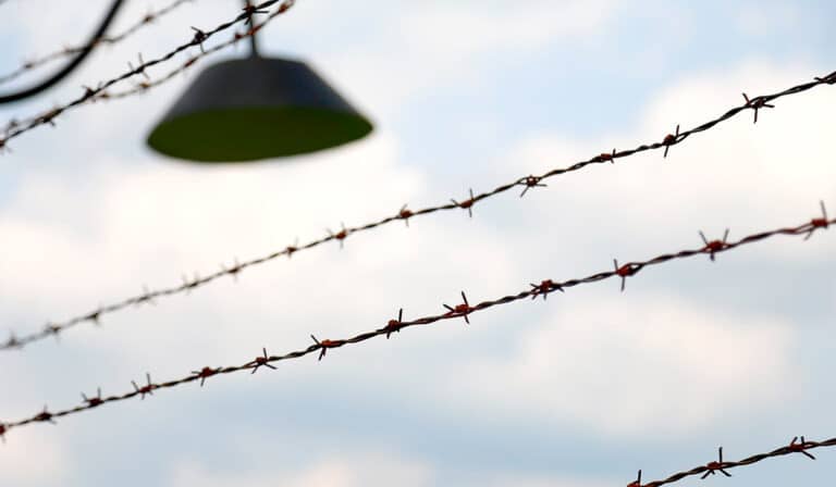 Holocausto
