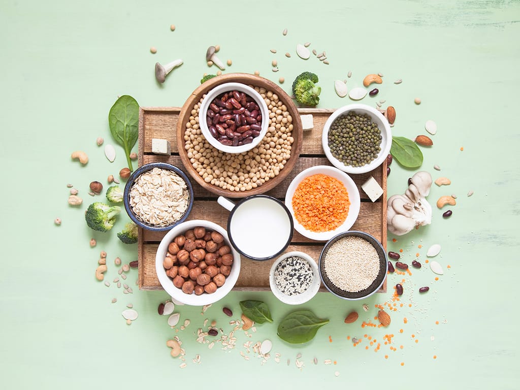 Proteína Vegetal