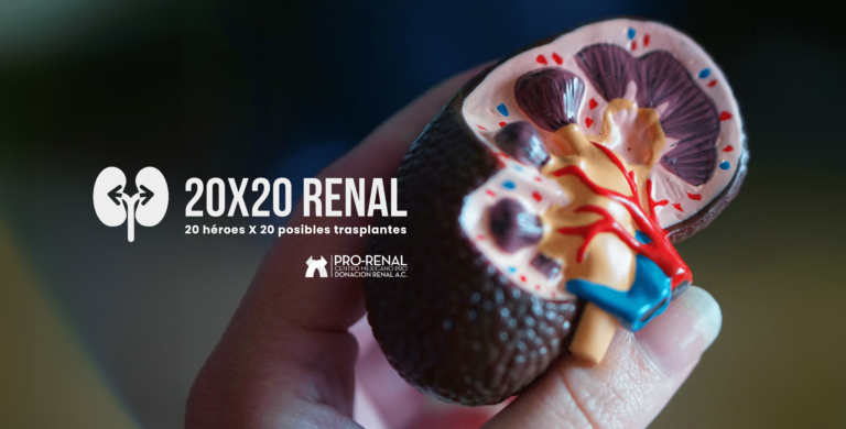 20X20 RENAL: 20 héroes, 20 posibles trasplantes.