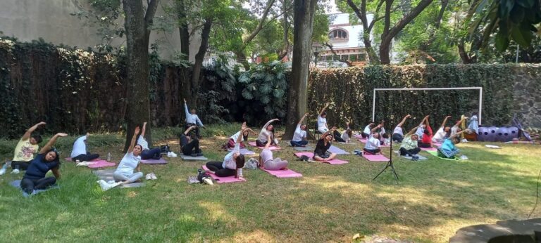 En Marcha por la EM: Un Viaje de Bienestar a través del Yoga Adaptado.