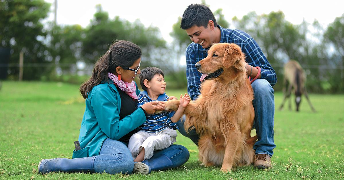 Caninoterapia y sus beneficios