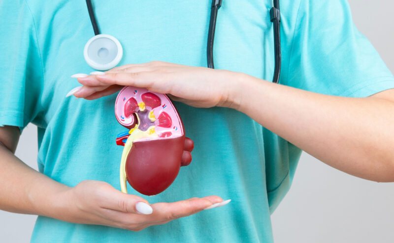 Prevención y detección temprana, claves para cuidar la salud de los riñones
