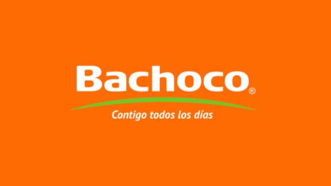 Logotipo de huevos bachoco